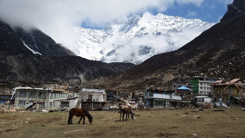 Terror on Everest: Surviving the Nepal Earthquake – Review by The Times