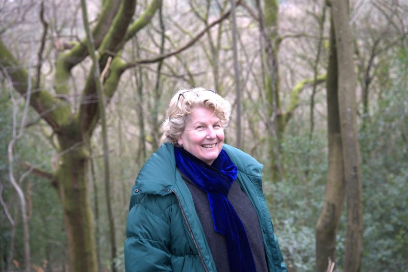 Sandi Toksvig to restore ancient woodland for C4